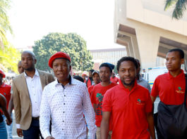 Malema and Ndlozi to appear in court over assault charges